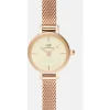 Daniel Wellington Damenuhren-PETITE MINI 19 mm champagne DW00100741
