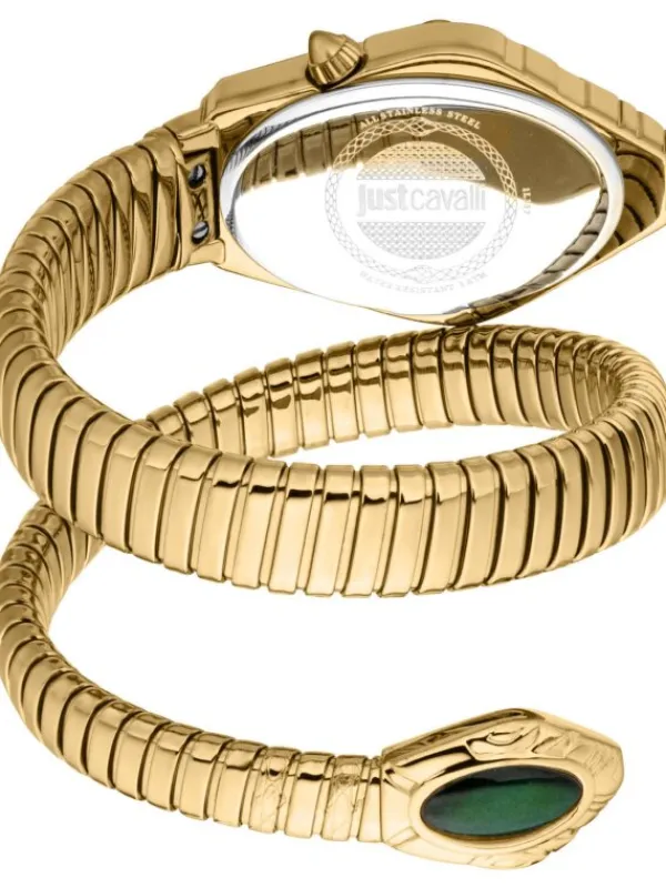Just Cavalli Damenuhren-Lirica groldf. grün JC1L357M0035