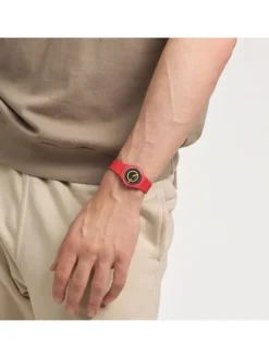 SWATCH Herrenuhren | Damenuhren-CONCENTRIC RED SO28R702